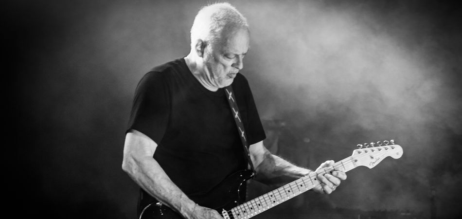 "David Gilmour live"